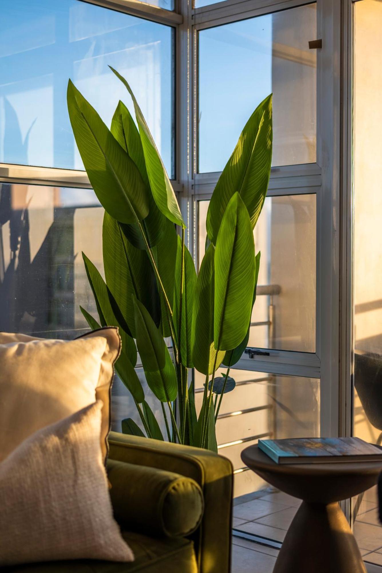 Apartment Stylish Sunlit Ocean View Oasis! *